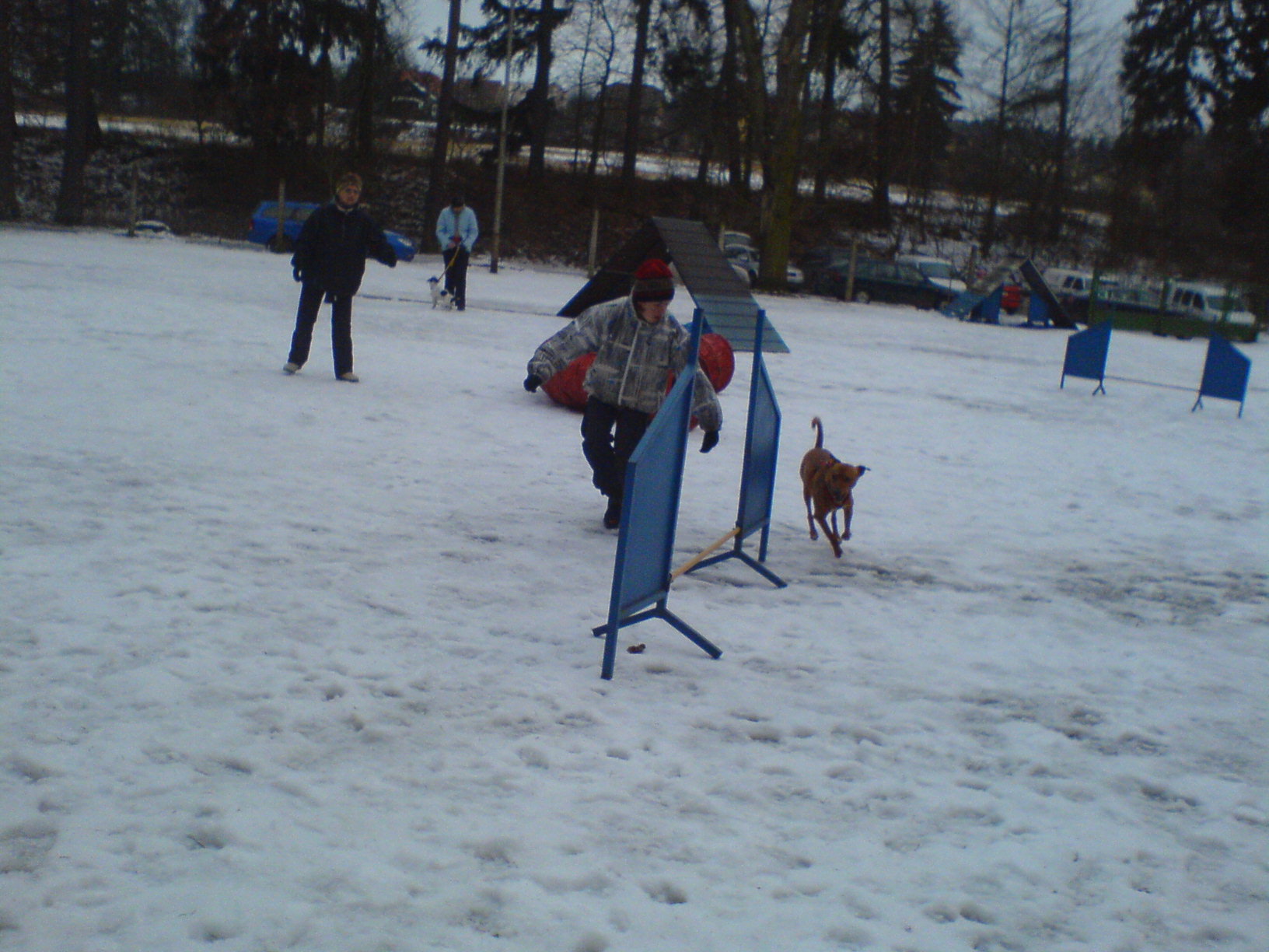 DSC00977.JPG