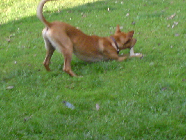 DSC00058.JPG